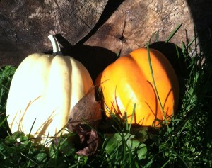 Fall Harvest Chicken1